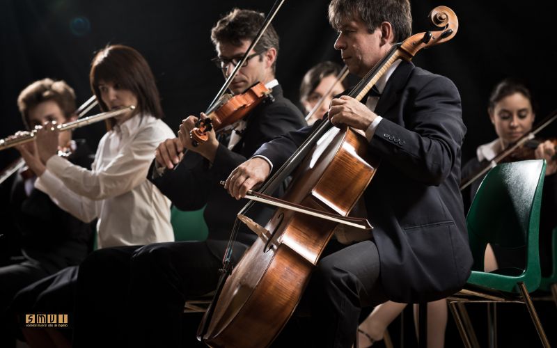 Banda Musica Las Palmas - Banda de Ingenio - Diferencias entre Escuela de Música y Conservatorio