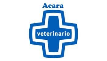 banda-musica-las-palmas-logo-acara